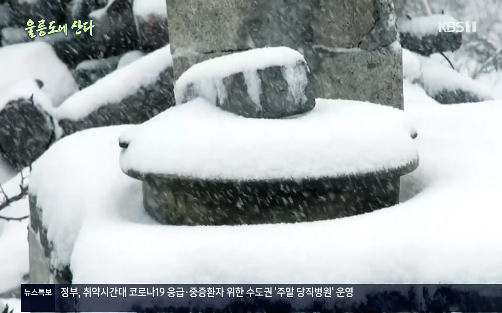 다큐울릉도에산다.E01.220909p.H264-F1RST.mp4_20220912_180548.358.jpg