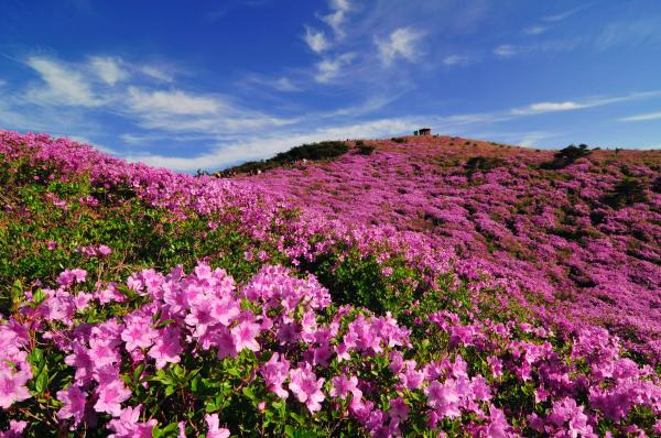 황매산 등산코스