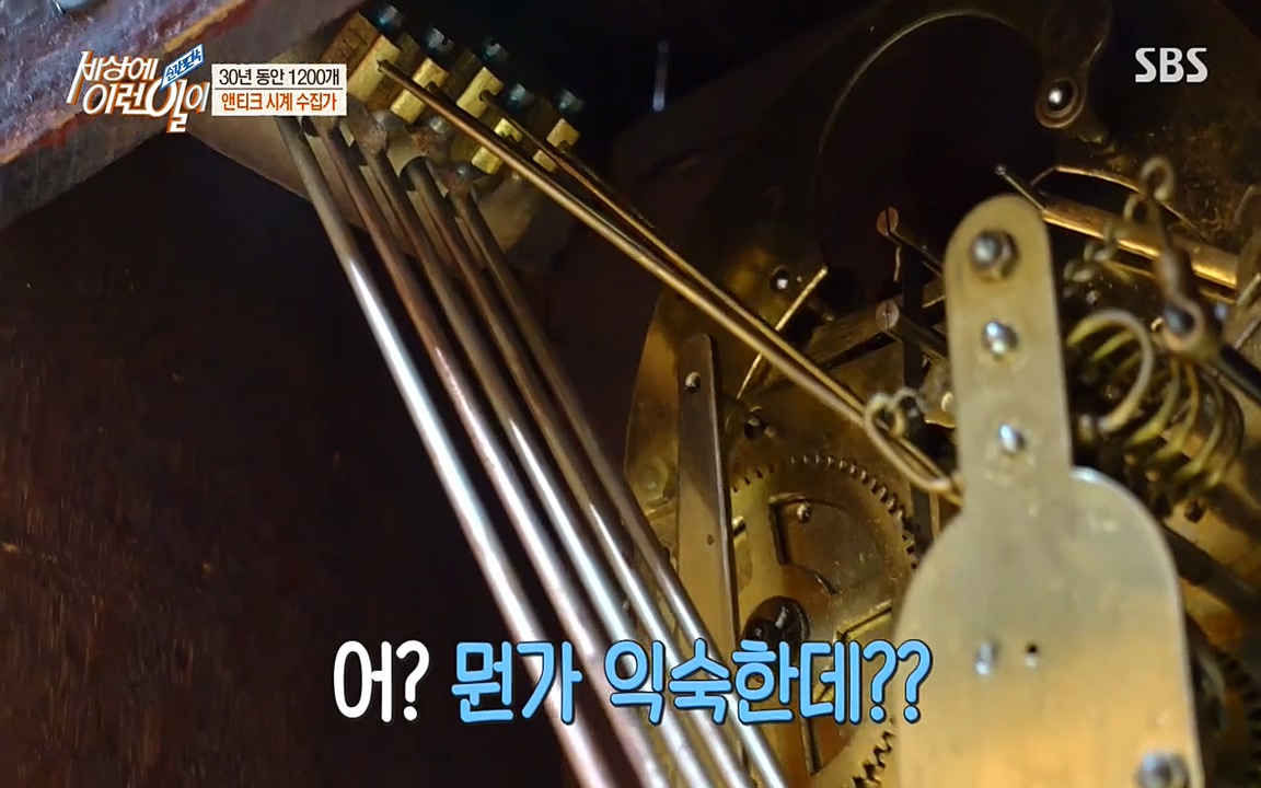 순간포착 세상에 이런일이.E1177.220427p-NEXT.mp4_20220427_181905.804.jpg