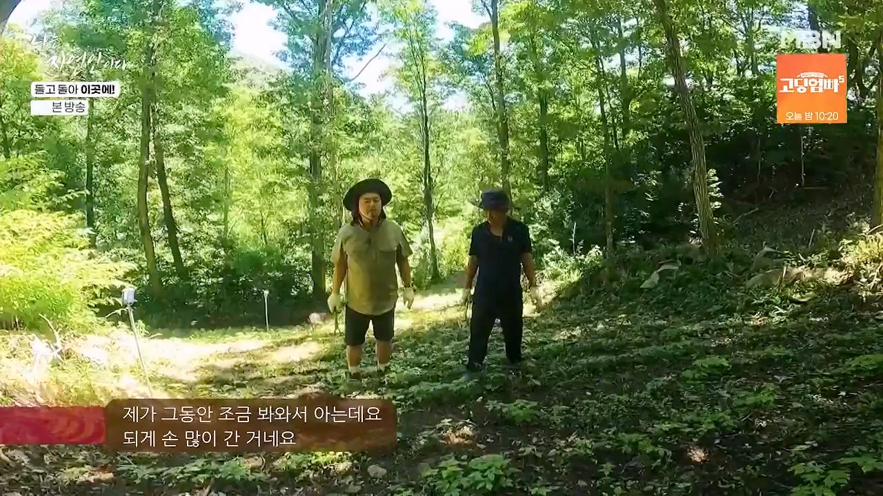 나는 자연인이다.E614.240718p-NEXT.mp4_20240718_195146.127.jpg
