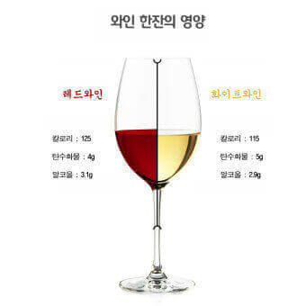  와인 마시는 방법