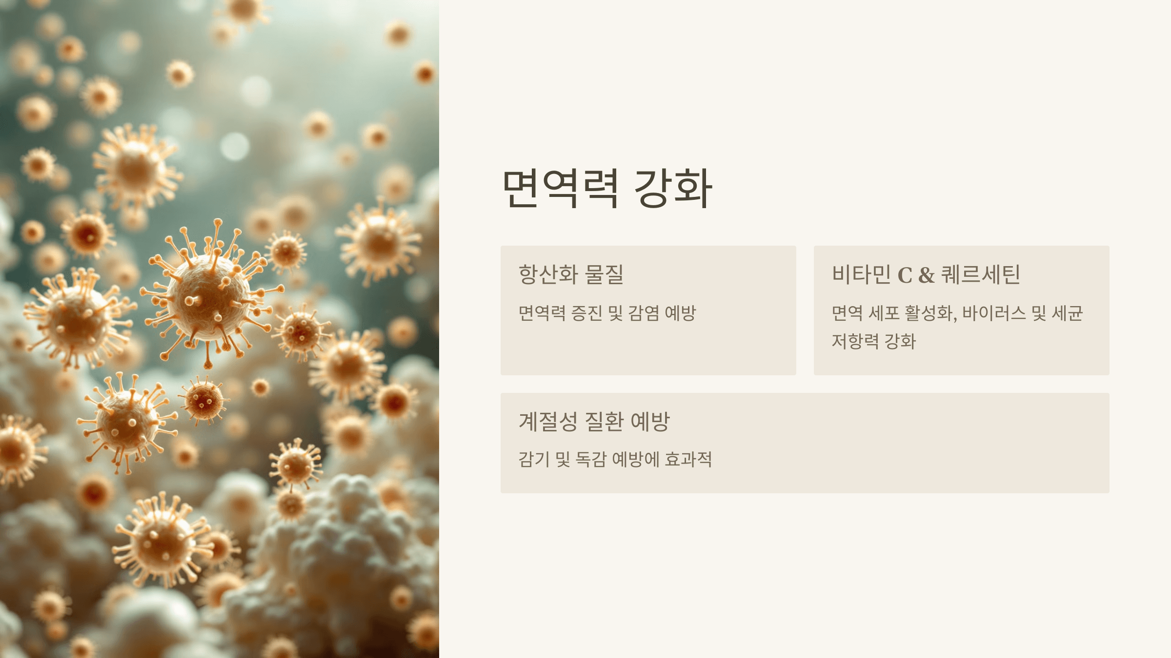 양파즙 사진입니다.