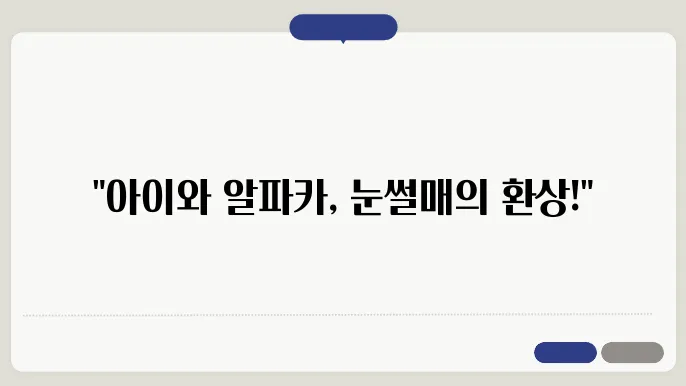 가산수피아 알파카 체험