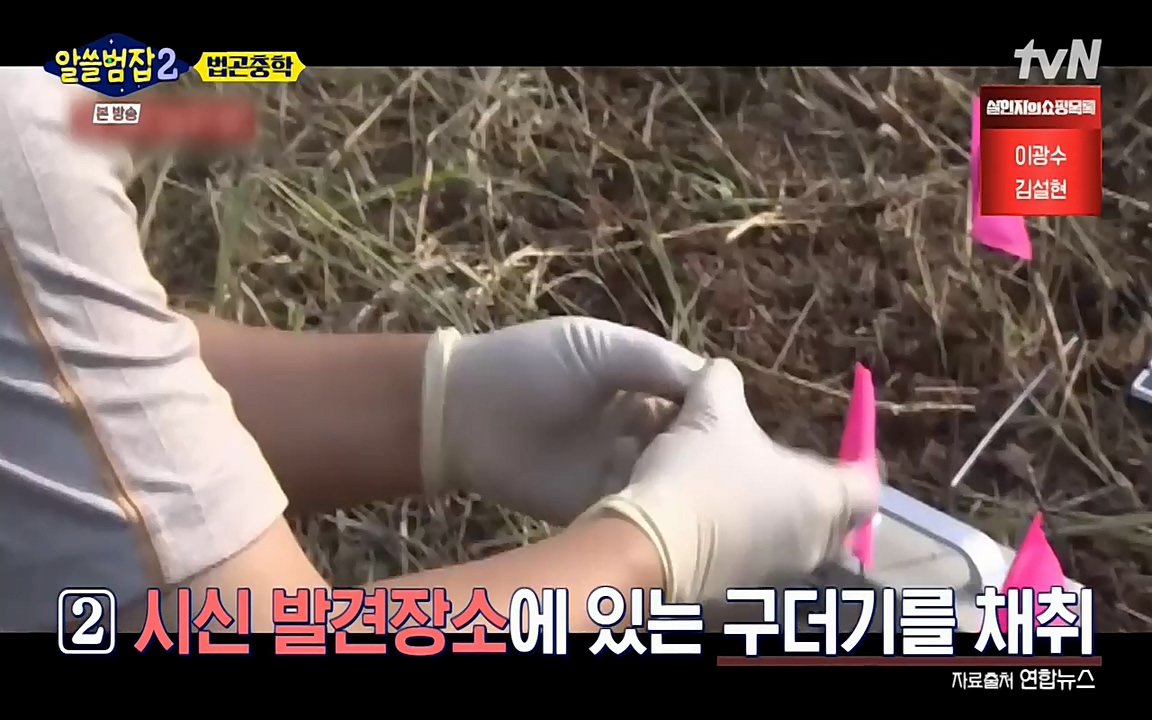 알쓸범잡 2.E15.220425p-NEXT.mp4_20220425_181716.722.jpg