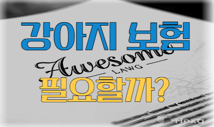 강아지 보험