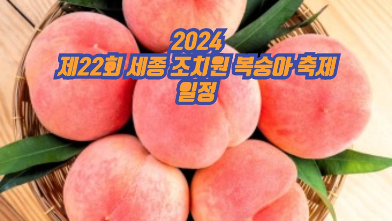 2024 제22회 세종 조치원 복숭아 축제 일정