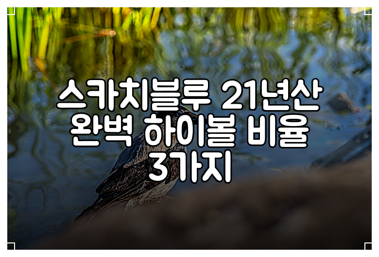스카치블루 21년산 완벽 하이볼 비율 3가지