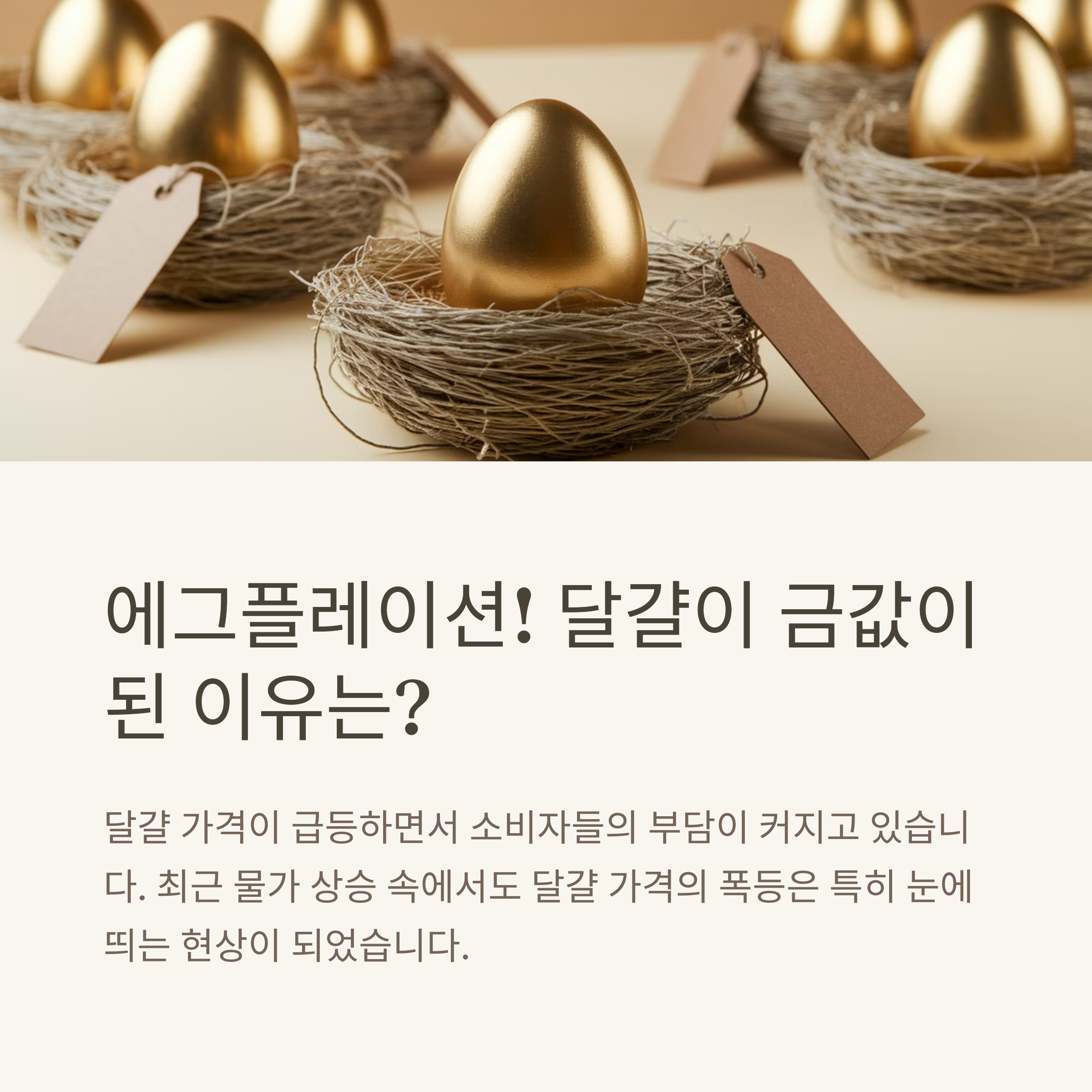 ‘에그플레이션’으로 금값이 된 달걀
