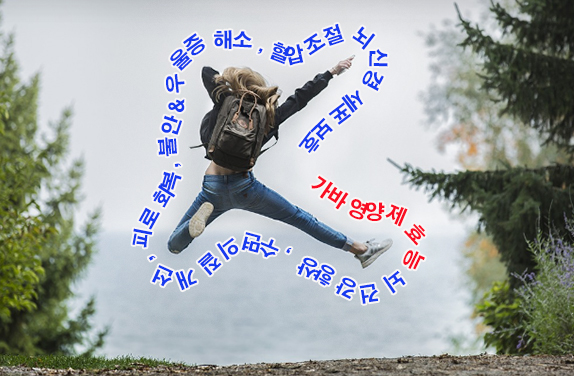 가바영양제 효능 스트레스 해소 , 수면의 질 개선 피로회복