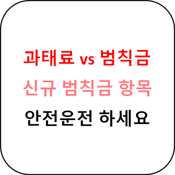  과태료 범칙금 차이,  신규 과태료 항목 정리
