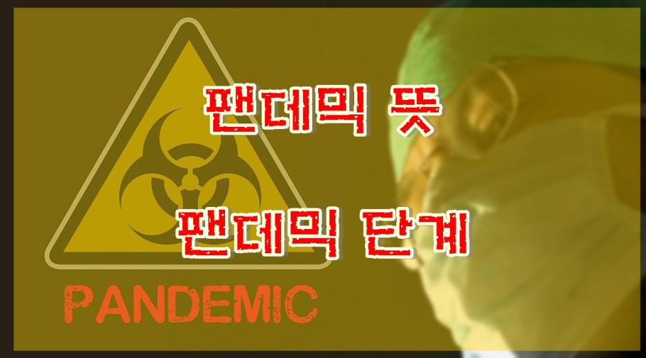  팬데믹 뜻 팬데믹 사례 팬데믹 단계 세계보건기구(WHO) 팬데믹 선언 세계적 대유행 코로나19(COVID-19)