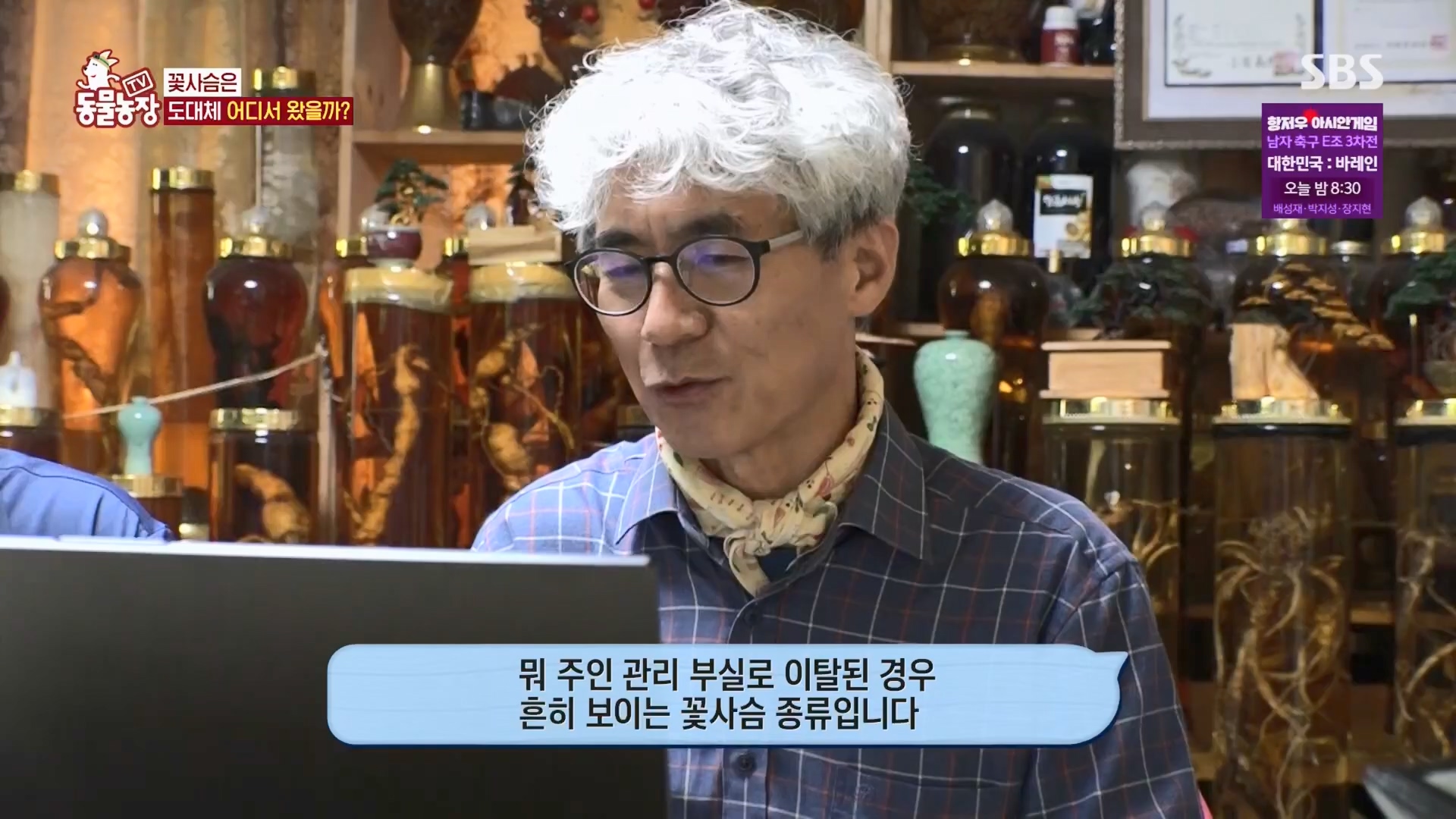 TV 동물농장.E1139.230924p.H264-F1RST.mp4_20230924_172351.536.jpg