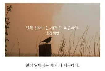 웃긴 명언 모음 웃긴 술명언 100선_19