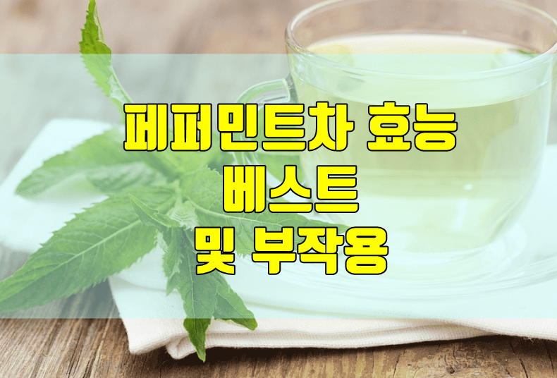  페퍼민트 차의 효능 및 부작용