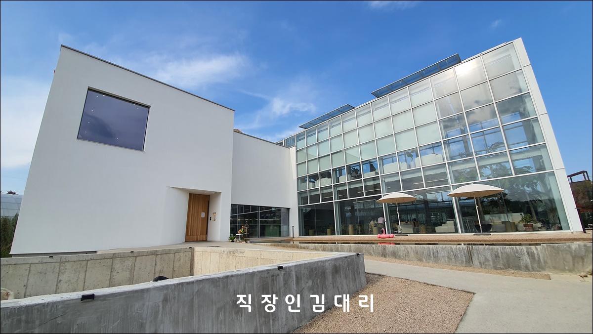 분위기 좋은 청주 대형 카페 위드포레스트