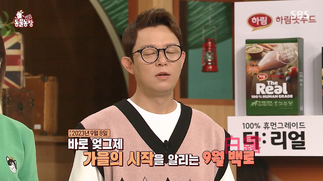 TV 동물농장.E1137.230911p-NEXT.mp4_20230910_183157.047.jpg