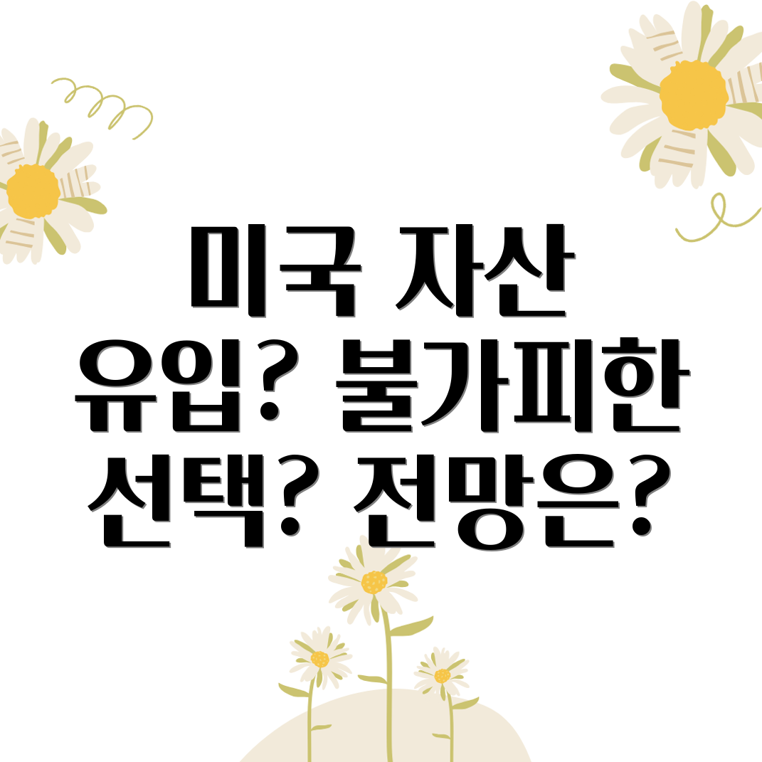 미국 자산 유입