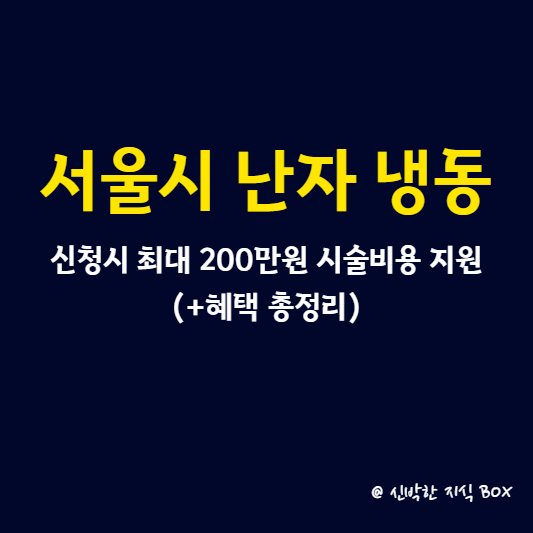 서울시 난자 냉동&#44; 신청시 최대 200만원 시술비용 지원(+혜택 총정리)