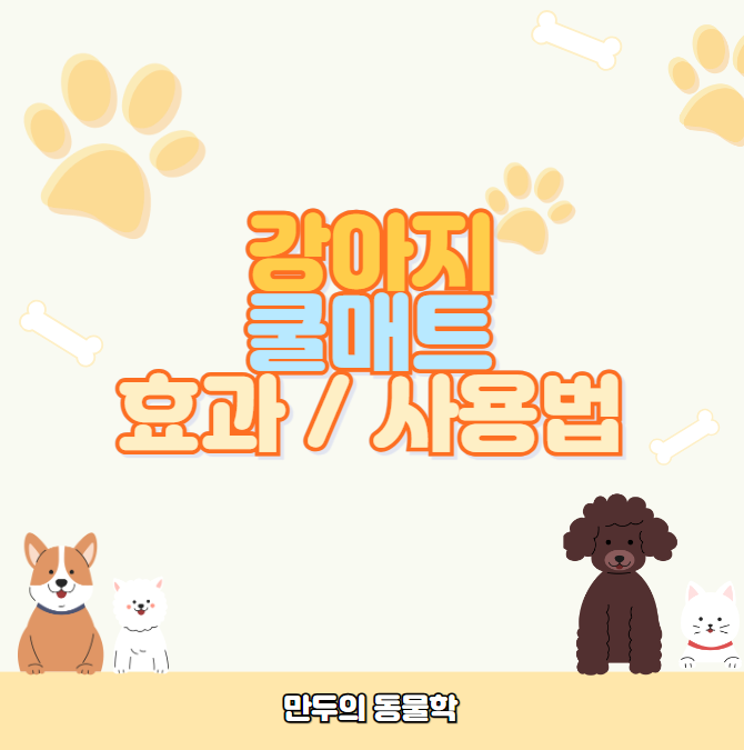 강아지쿨매트효과및사용법