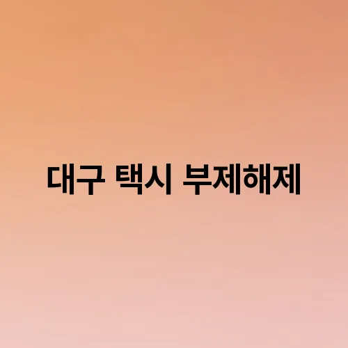 대구 택시 부제해제