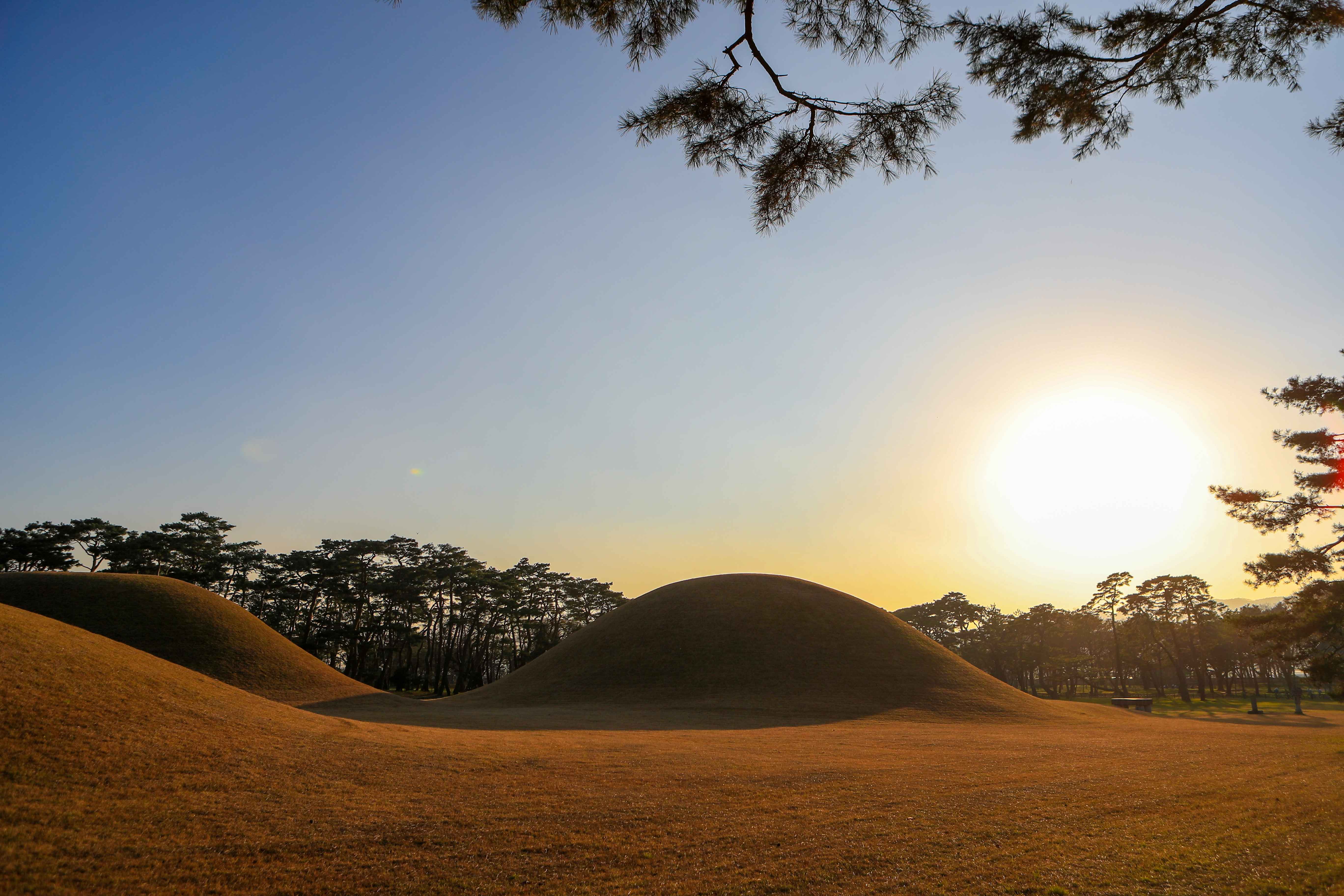 경주 오릉의 역사적 배경