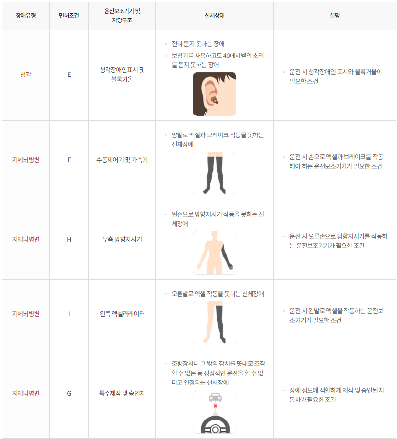 국립재활원-면허조건-상세-설명