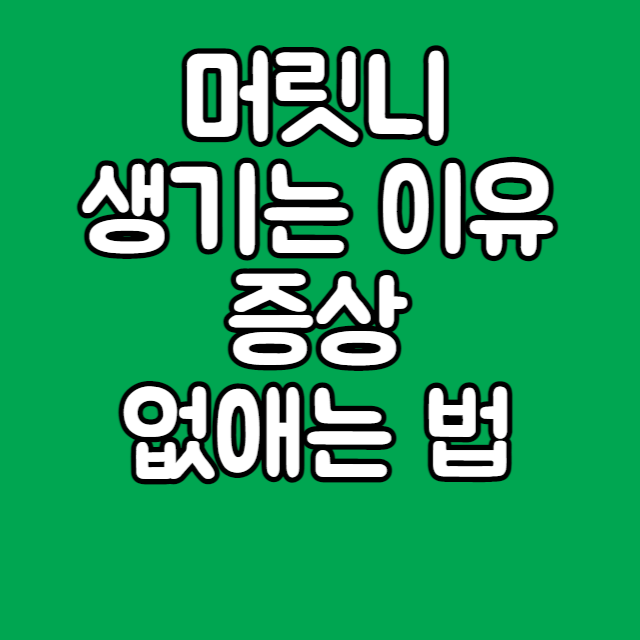  머릿니 생기는 이유 증상 없애는 법