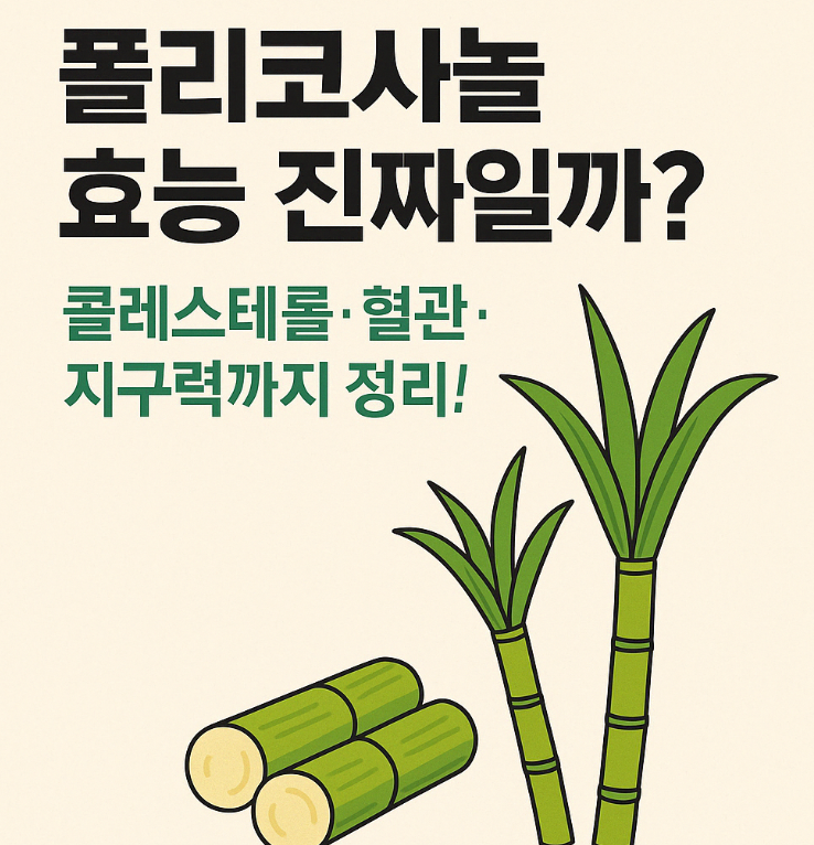 폴리코사놀