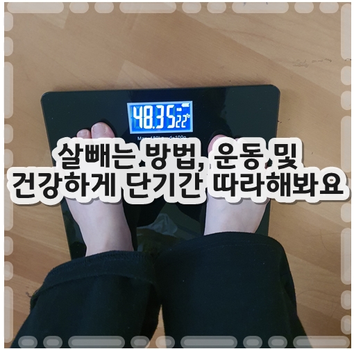 살빼는방법