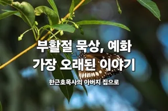 부활절 묵상 성경 말씀 찾기 100선_19