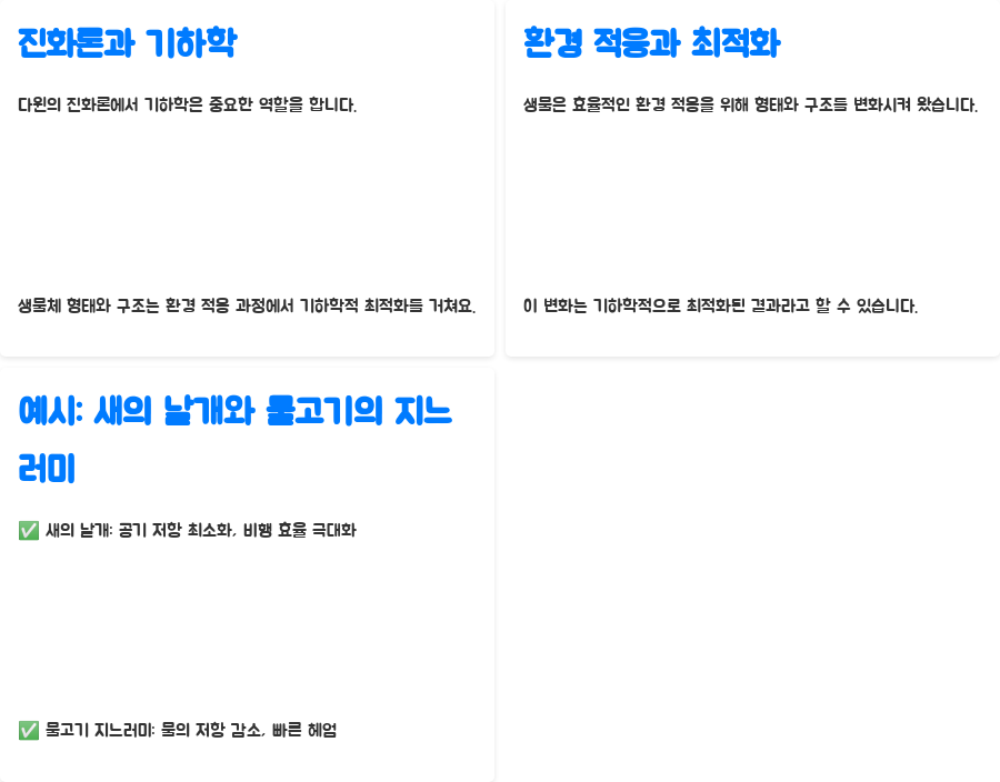 기하학이 밝히는 생명의 비밀: 생물학과의 놀라운 만남! - 진화론과 기하학: 환경에 적응하는 최적화된 설계 기하학이 밝히는 생명의 비밀: 생물학과의 놀라운 만남! - 진화론과 기하학: 환경에 적응하는 최적화된 설계