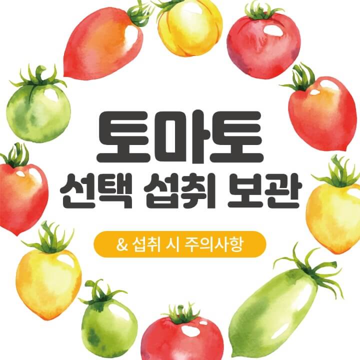 토마토선택섭취보관_썸네일