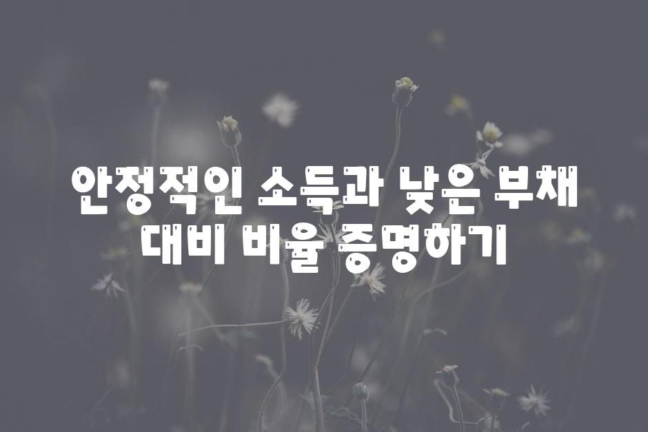 안정적인 소득과 낮은 부채 대비 비율 증명하기