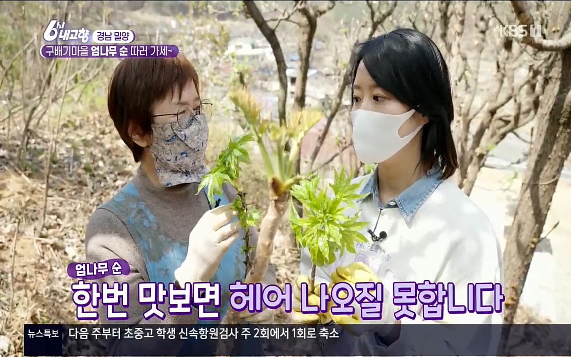 6시 내고향.E7510.220414p.H264-F1RST.mp4_20220419_182304.540.jpg