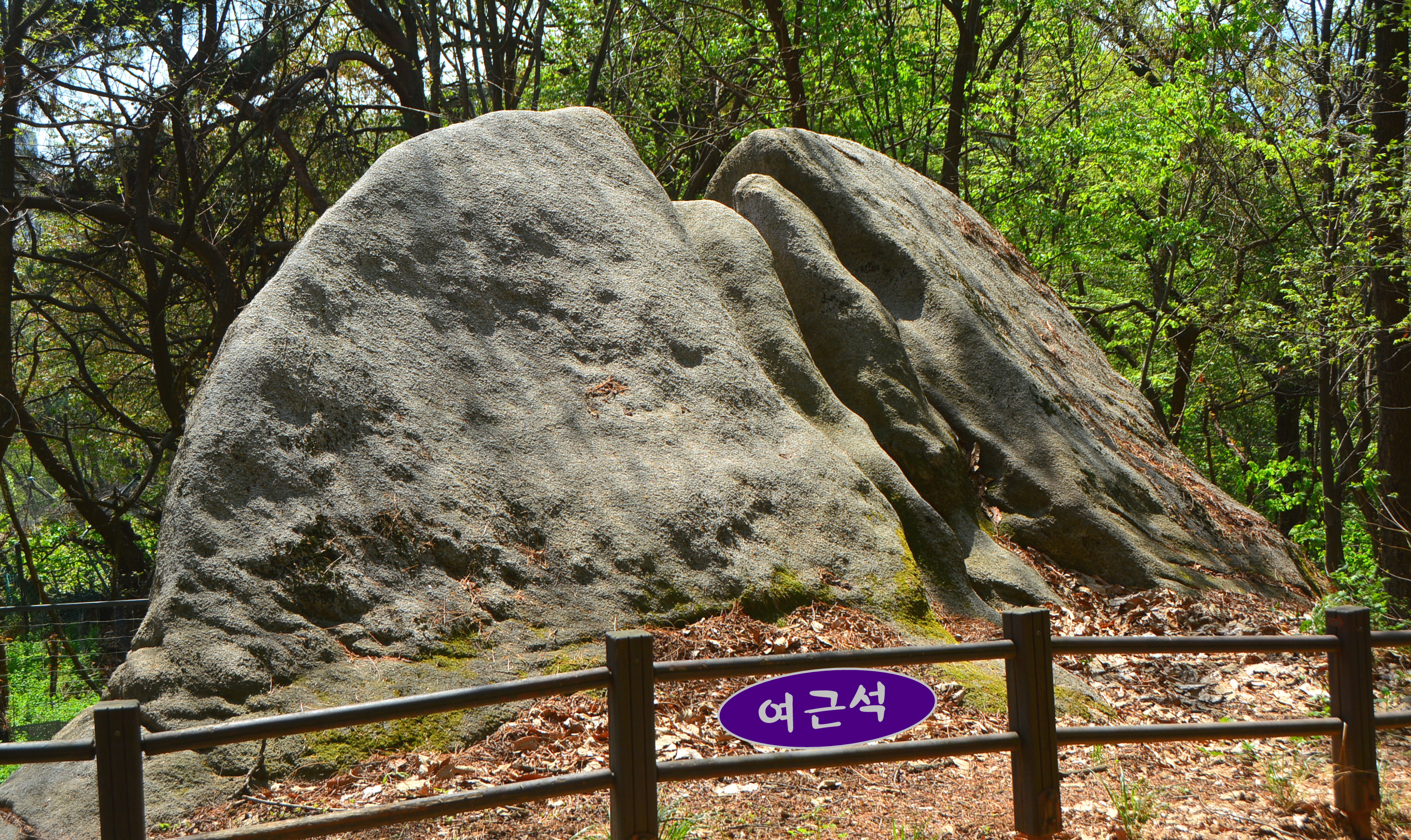 기암 이미지