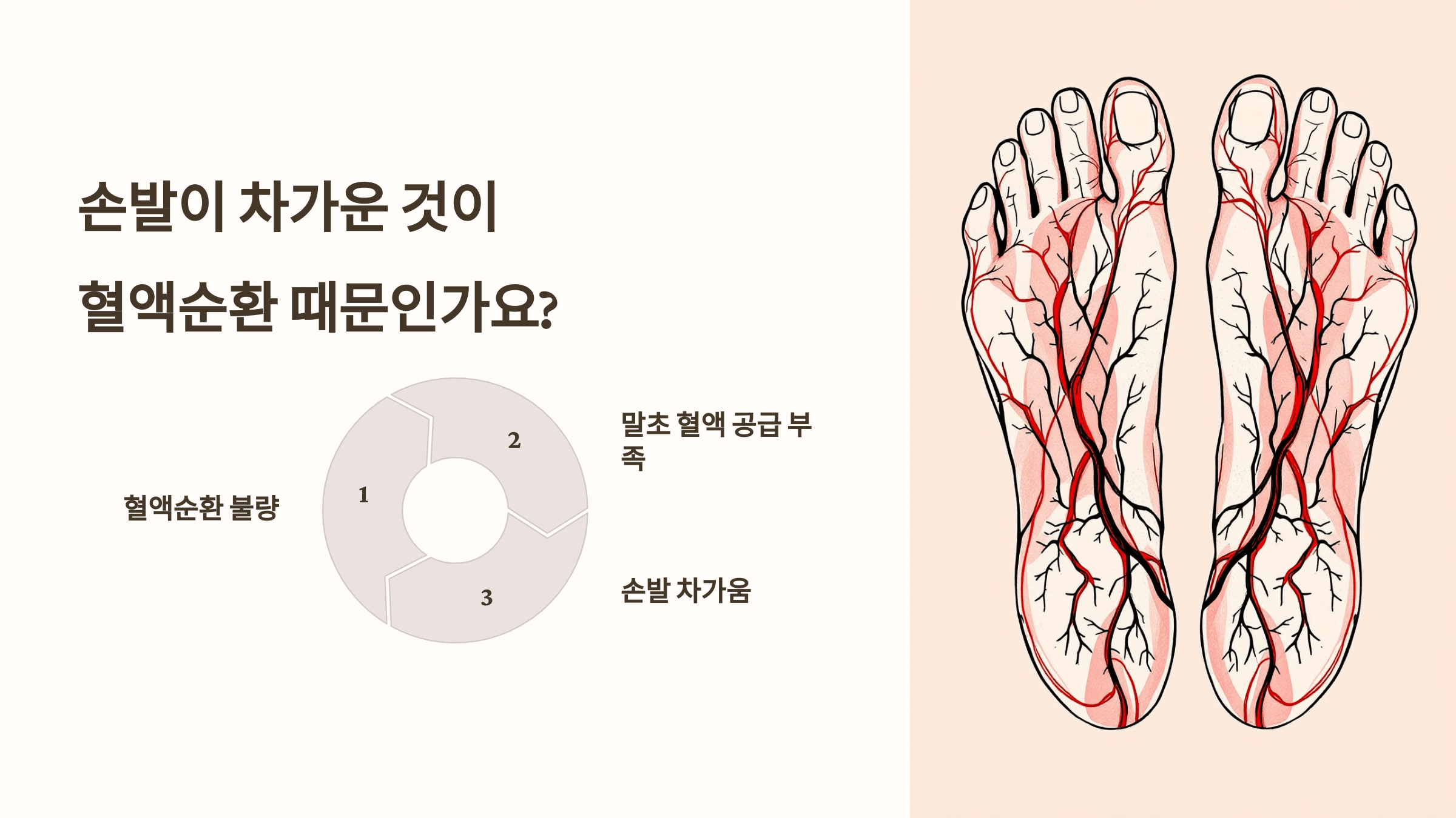 손발 사진입니다.