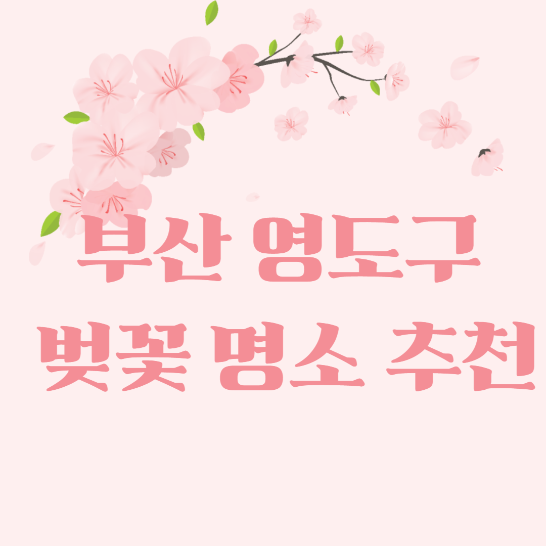 안내 이미지