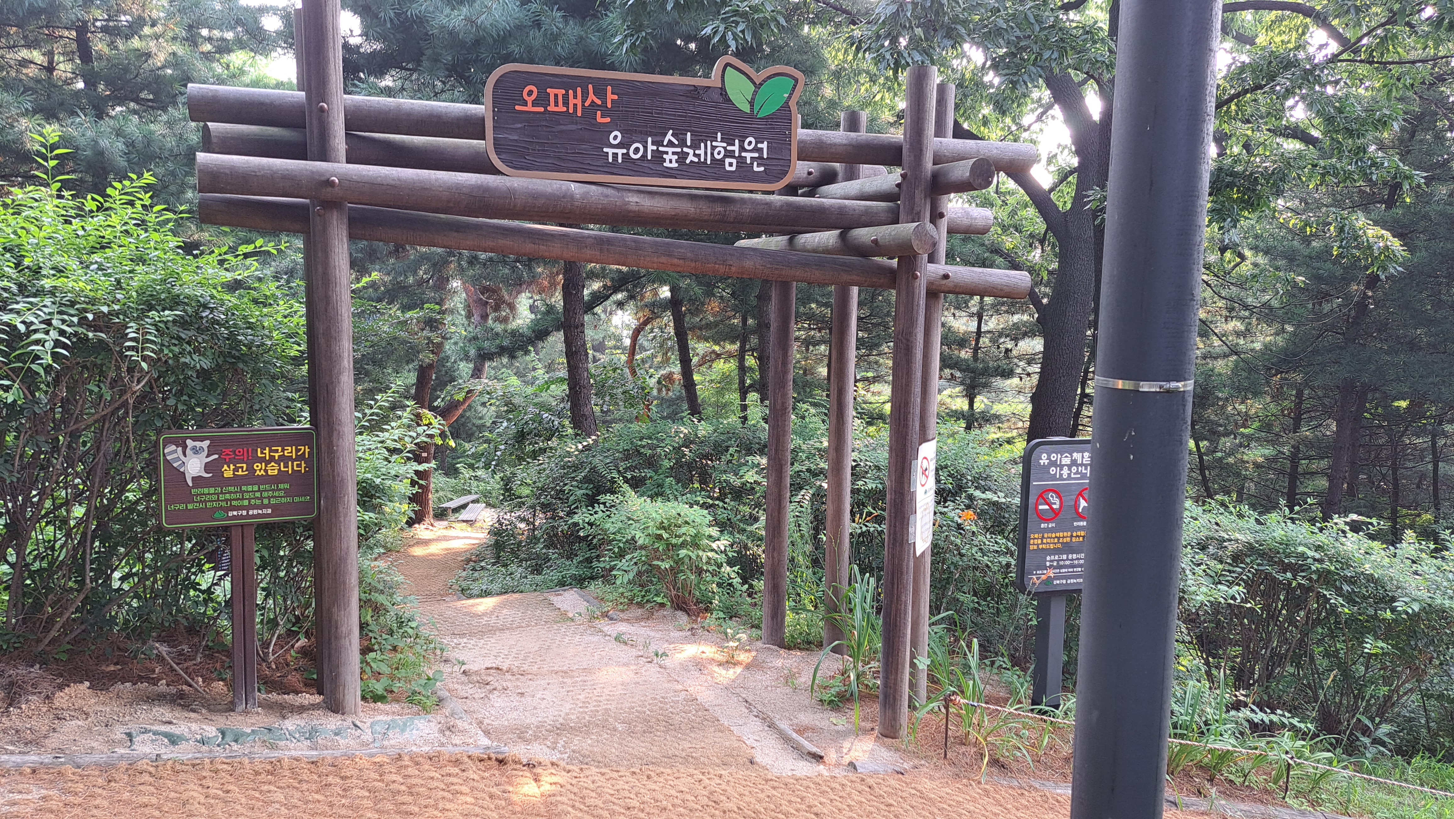 오패산 유아숲체험원 이미지