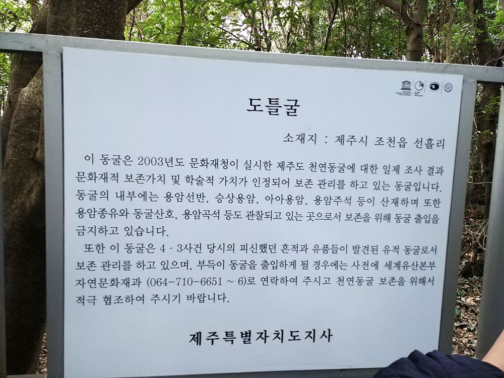 제주4.3평화기행. 선흘리 도틀굴