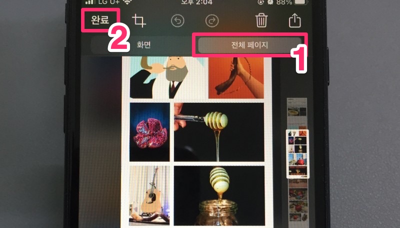 전체페이지선택