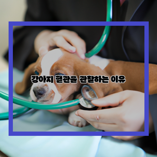  강아지 혈관을 관찰하는 이유: 건강한 반려견 육성을 위해