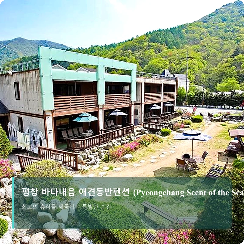 평창 바다내음 애견동반펜션 (Pyeongchang Scent of the Sea Dog Pension)_4