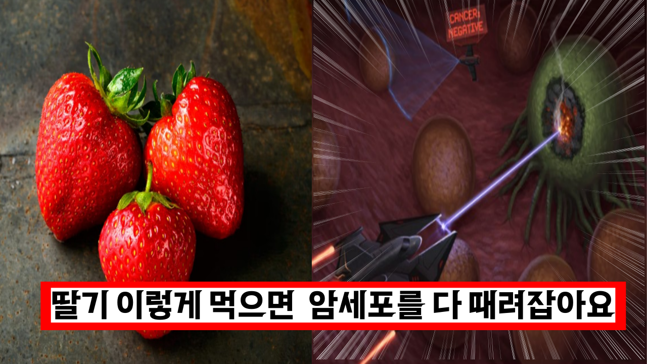  대박 딸기 이렇게 먹으면 암세포를 다 때려 잡을수 있어요
