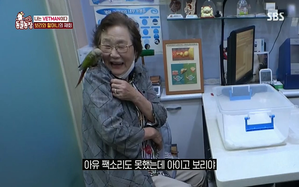 TV 동물농장.E1076.220704p.H264-F1RST.mp4_20220703_175604.886.jpg