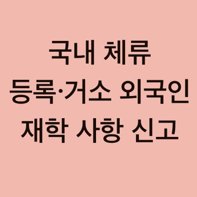  국내 체류 등록·거소 외국인 재학 사항 신고