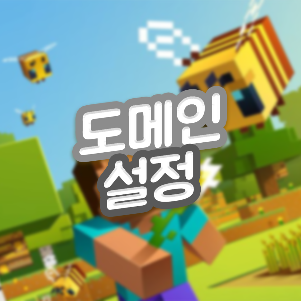  마인크래프트 도메인 설정 공략