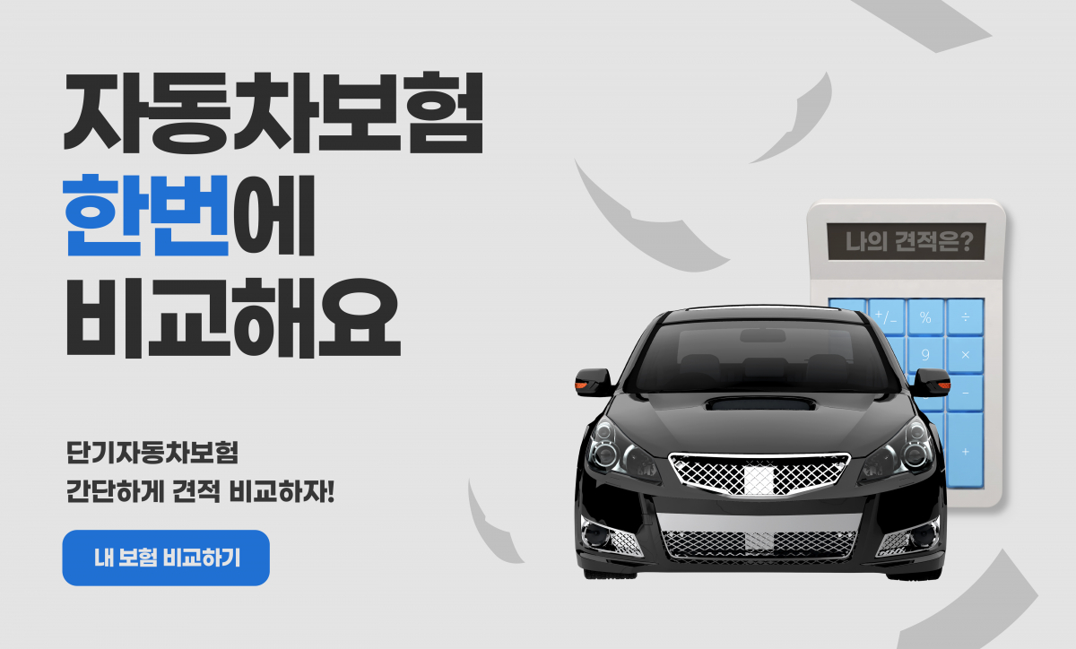 자동차보험