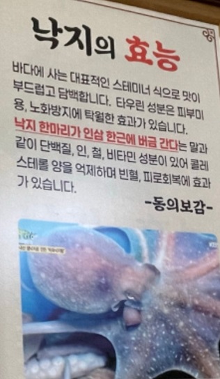 낙지의효능