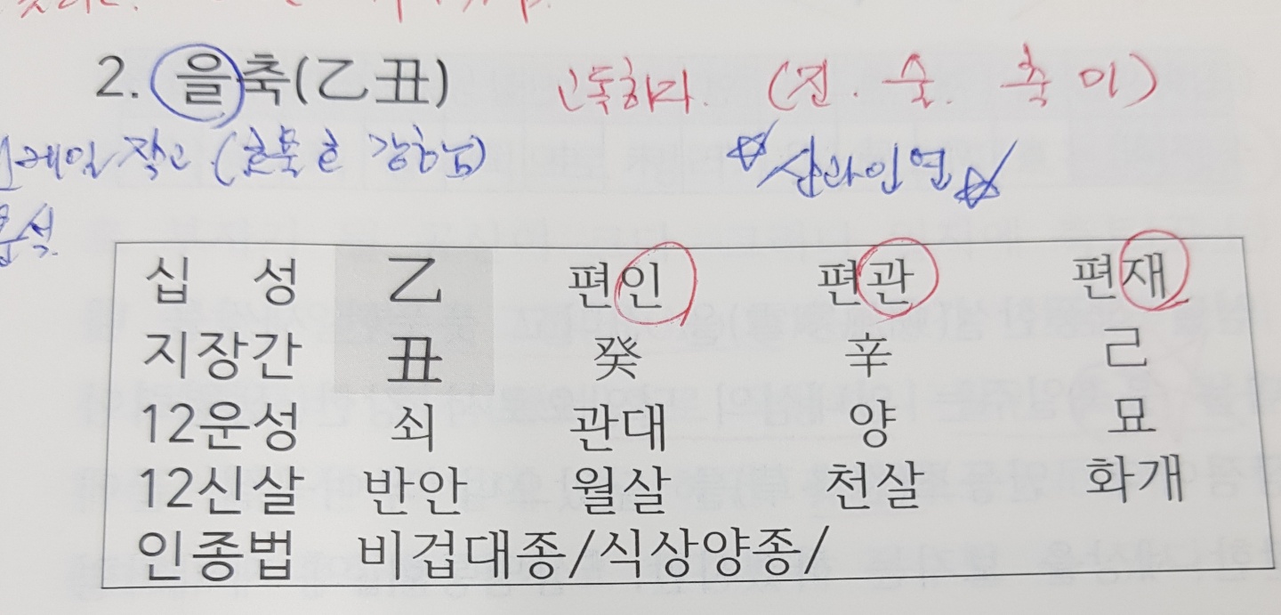  을축,정축,기축,신축,계축 ,병인,무인 일주분석