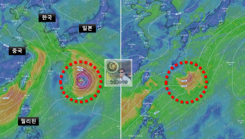 윈디닷컴-GFS-ECMWF-바람-예측모델-2023년-6월12일-3호태풍-구촐-발생-예측결과